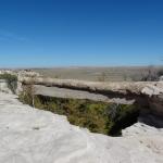 OTRA_2016_0431 (October 07, 2016)